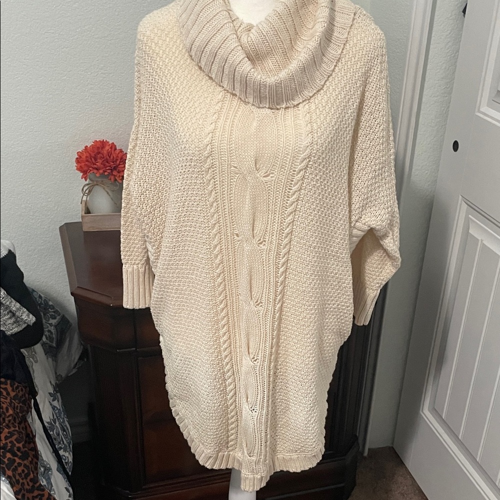Express Cream Chunky Turtleneck Sweater